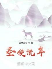 流圣天使 动漫