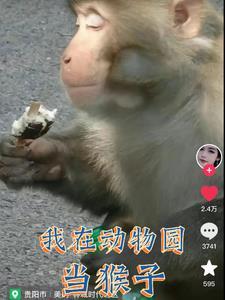 变成小猴子可以干什么