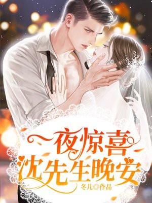 一夜惊喜沈先生请自重结局