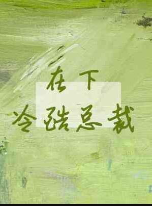 总裁在下简介