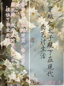 穿越的太子