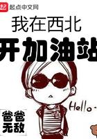 我在西北开加油站txt校对