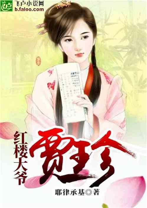 贾大爷红楼梦