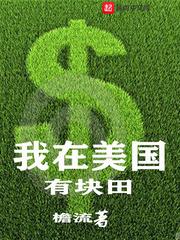 我在美国混的日子