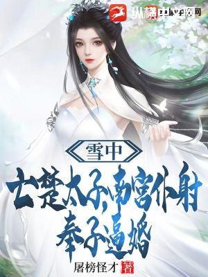 雪中悍刀行南宫仆射章节