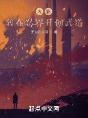 我在火影发系统