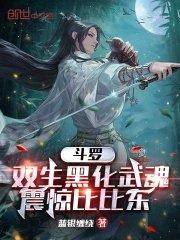 双生武魂话本