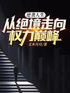 逆袭人生从绝境走向权力巅峰
