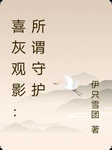 喜灰观影所谓守护txt