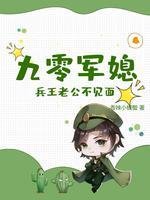 九零军媳兵王老公不见面于锦书林毅轩