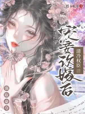 宠妾穿书清风不换全文