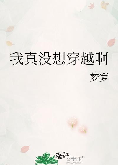 我真没想穿越啊梦箩晋江