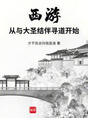 大圣西游