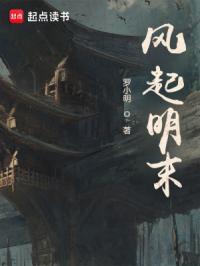 风起明末大结局