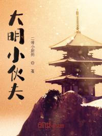 大明大丈夫全文免费阅读