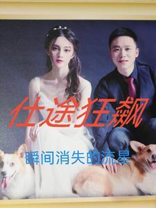 仕途狂飙最新章节txt下载