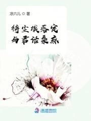 尘埃落定意思
