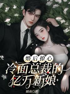 冷面总裁隐婚妻