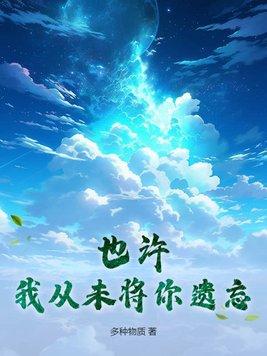 也许你就从来没爱过我是啥歌