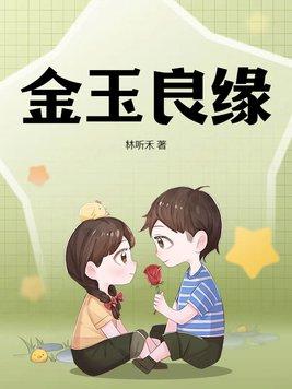 金玉良缘电视剧简介