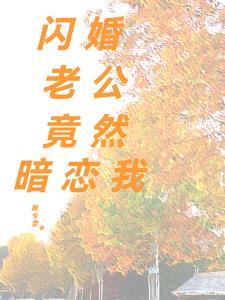 闪婚老公藏不住免费阅读