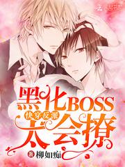 黑化boss太会撩 作者柳如痴 ...