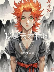 男主叫林天风的