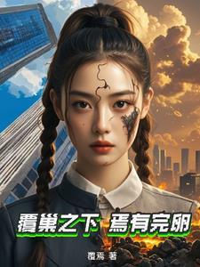 安有完卵