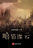 暗影谍云免费阅读