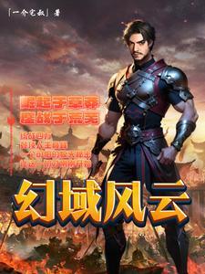 幻域封魔攻略