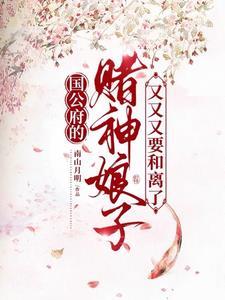 国公府小姐