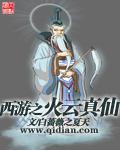 西游之西
