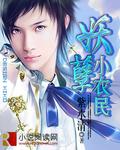 妖孽小农民日落孤城txt