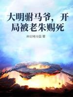 穿越大明末年之驸马