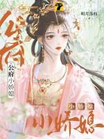 公府娇媳全文阅读