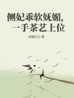 侧妃娘娘上位了