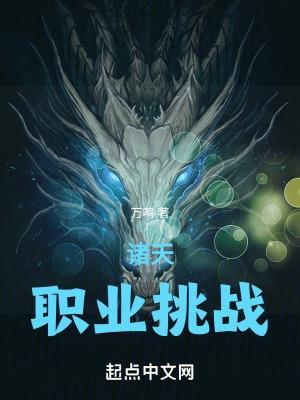 诸天职业挑战t001