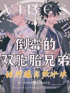 两个受是双胞胎兄弟