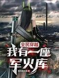 全民穿越我有一座军火库结局