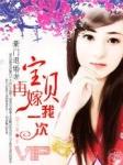豪门退婚妻宝贝再嫁我一次全文阅读