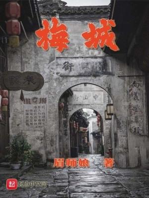 梅城亮灯庆祝十五运倒计时