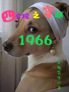 多进四合院