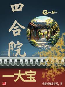 四合院从大宝儿开始