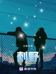 野生刺海参多少一斤