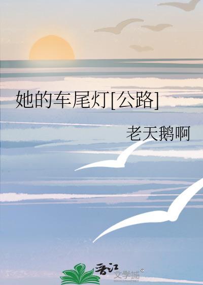 公路车尾包哪个品牌好