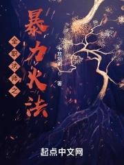 全职法师之双火系