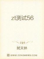 ZT测试是什么意思