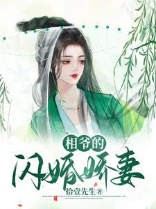 相爷追妻
