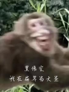 穿越成为黑悟空