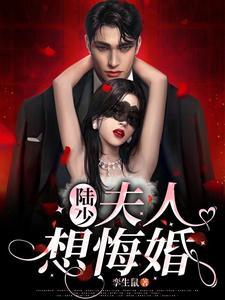 陆少夫人要离婚陆深